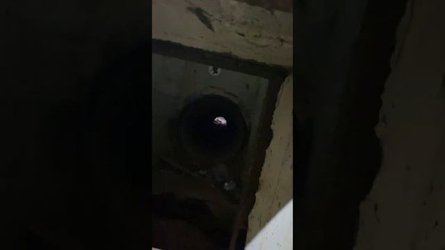 Сталк по территории Зим или же Завода имени Масленикова. смотреть онлайн