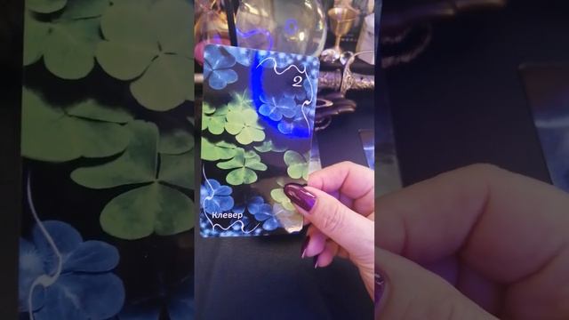 Оракул Затмение. Автор Амира Таро. Обзор колоды и краткий курс по обучению. смотреть онлайн