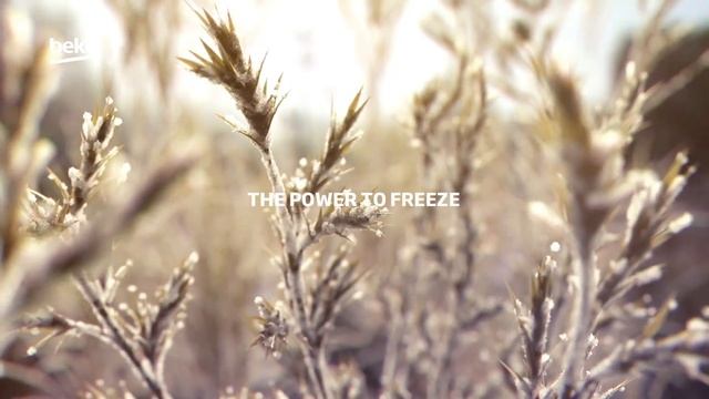 Beko | SolarFresh A Complete Cooling System смотреть онлайн