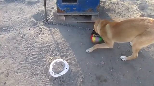 Эшли смотреть онлайн