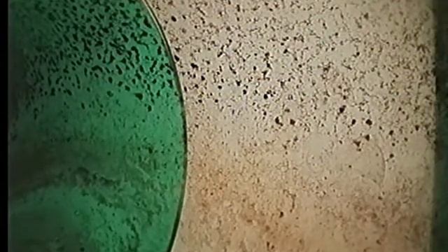 Petunia Pl Sewer смотреть онлайн