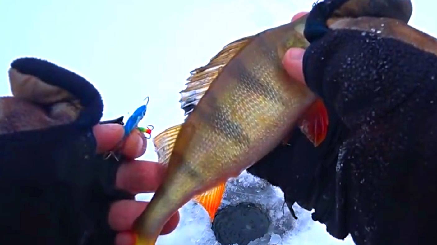 Зимняя рыбалка на Оке! Ловля окуня на мормышку! Ловля окуня на балансир! смотреть онлайн