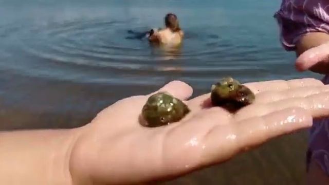 20 ноября 2022 г. смотреть онлайн