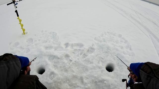 Ловля СУДАКА на блесну со льда. Зимняя рыбалка на судака в глухозимье. Первая рыбалка с мультом. смотреть онлайн
