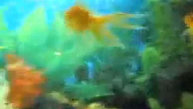 03112010 смотреть онлайн