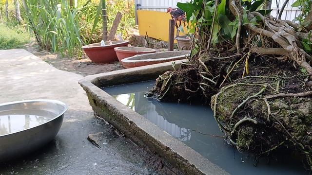 Funny ANIMALS videos😂Funniest CATS🐱 and DOGS🐶 2024 #7 смотреть онлайн