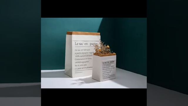 Chines carry paper bag show смотреть онлайн