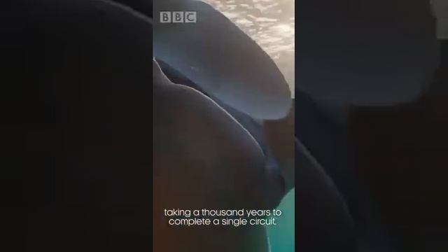 BBC A Perfect Planet