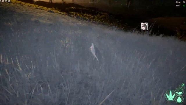 The Isle Evrima ปีศาจกลางคืน Troodon смотреть онлайн