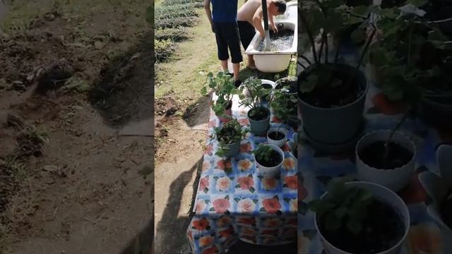 Надо меньше пить смотреть онлайн