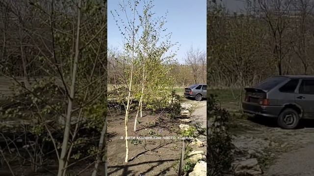 Выбираете жильё интуитивно или полагаетесь на логику? #ремонтдома #дизайнинтерьера #ремонт смотреть онлайн