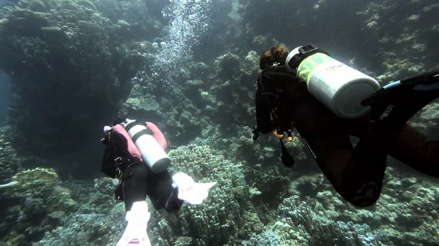 dive nr.9, Egypt, Marsa Alam, Aurora bay, Gabal El Rosas, Nurkowanie смотреть онлайн