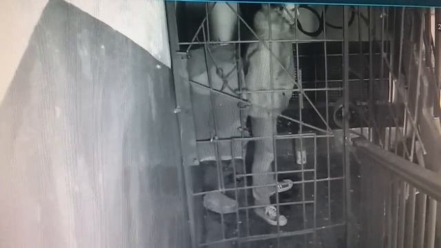 Ребята с нашего двора.. на-на-на смотреть онлайн