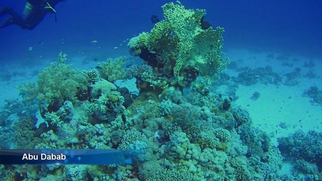 2017 Ägypten Coraya Beach Marsa Alam смотреть онлайн