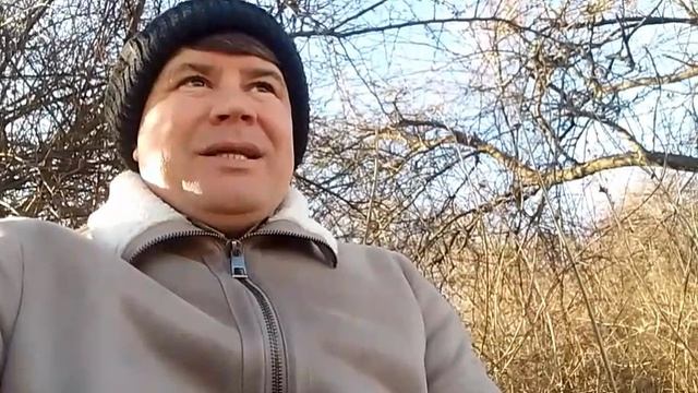 Неразгаданные загадки.