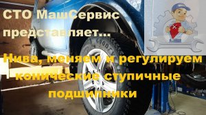 Нива, загудели передние ступичные подшипники