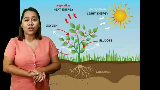 Our Unique Earth: Factors that Make a Planet Habitable смотреть онлайн