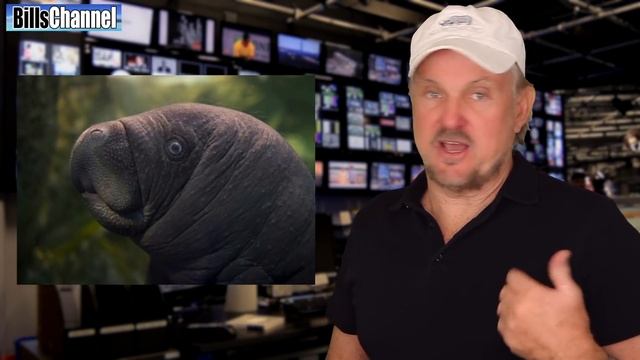 GIANT ASTEROID To Hit Earth - real or fake? смотреть онлайн