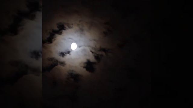 朧月夜 #月 #moon #朧月夜 #朧月 смотреть онлайн