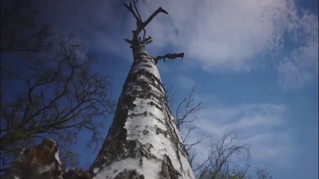 Paul Rigel - The Key Of The Universe (Original Mix)[Video Edit] смотреть онлайн