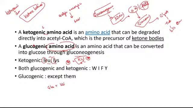 4:00 PM - Samarth | CSIR June 2021 | Life Science By Kumkum Gautam | Amino Acid