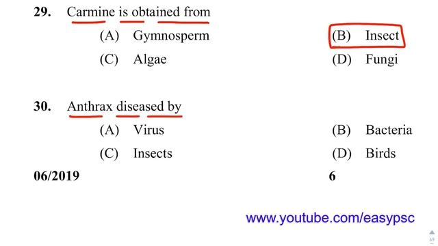 6/2019 | STATION OFFICER (SR FOR SC/ST ONLY - FIRE AND RESCUE SERVICES FINAL SOLVED PAPER смотреть онлайн