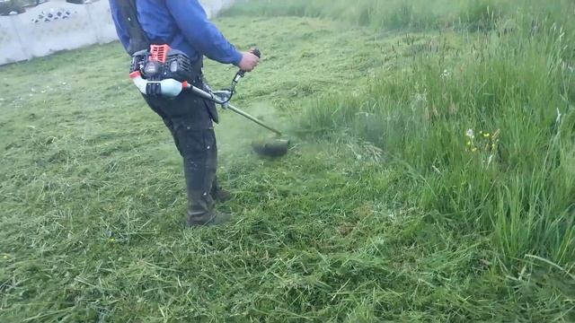 Echo SRM-3020 Tes 1.7 KM żyłka 2.4
