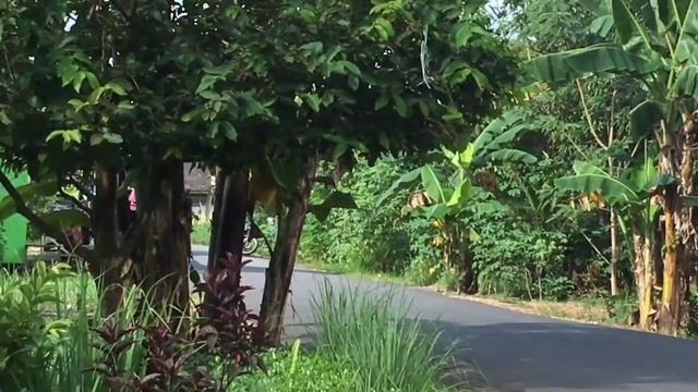 Modifikasi New Jupiter MX 135 Street Fighter Tubular Crash Bar | OJMX NJMX MX KING