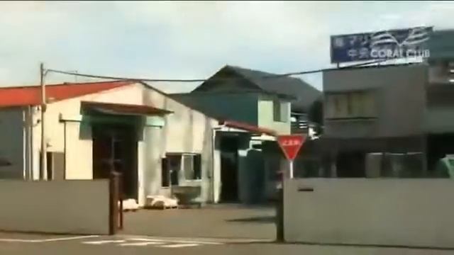 Презентация Корал Майн Coral Mine смотреть онлайн