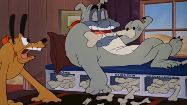 ᴴᴰ Pluto moves to a new home and befriends the turtle in the dramatic events