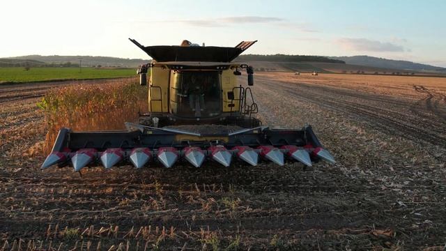Sklizeň kukuřice na zrno CCM | NewHolland CR 10.90 & CR 9.80 | Kynšt služby v zemědělství 2022 смотреть онлайн