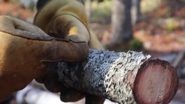 Ruike Jager F118-G High Quality Budget Knife