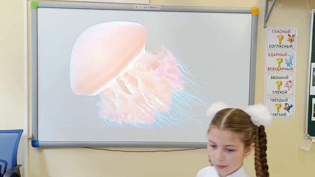 Урок окружающий мир 2 класс тема: "Обитатели соленых водоемов" смотреть онлайн