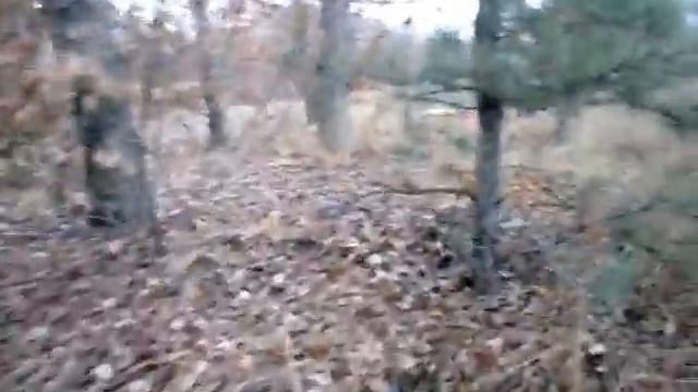 12 декабря / Рассомаха / МИР в безопасности?! смотреть онлайн