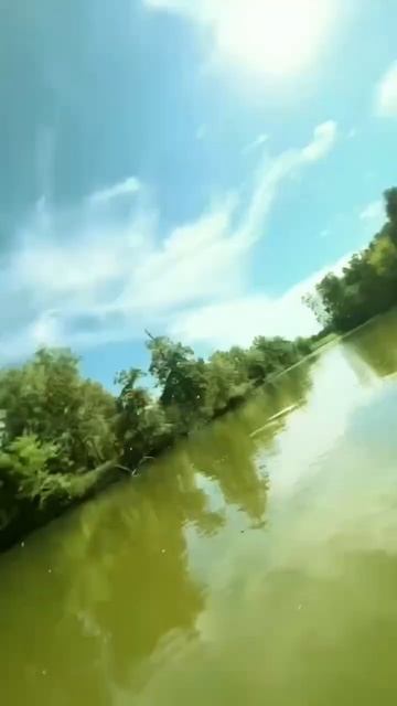 Рыбалка вместе с детьми смотреть онлайн