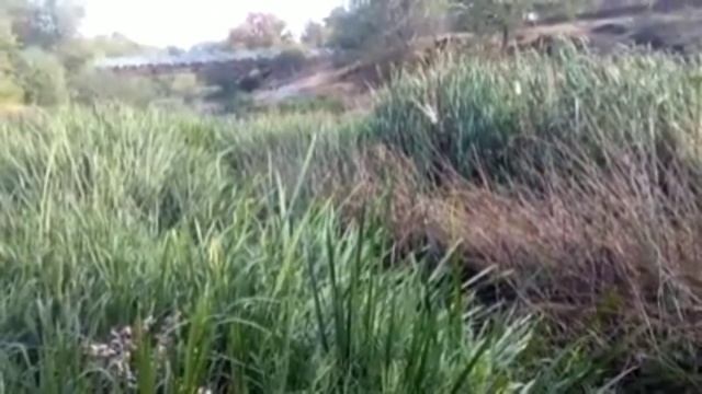 Ось що забруднює річку УЖ у Коростені!