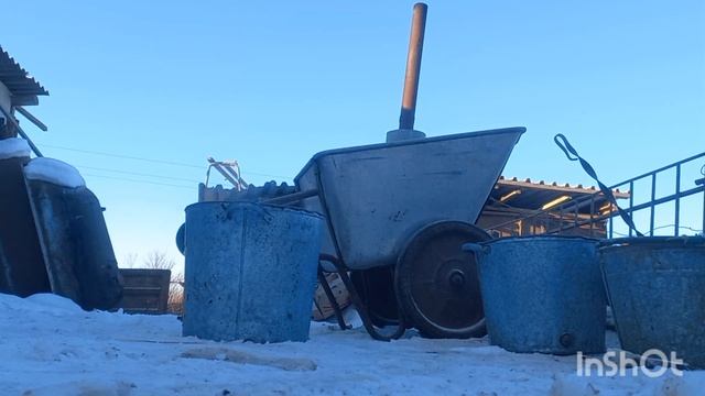 вес поросенка в 10дней смотреть онлайн