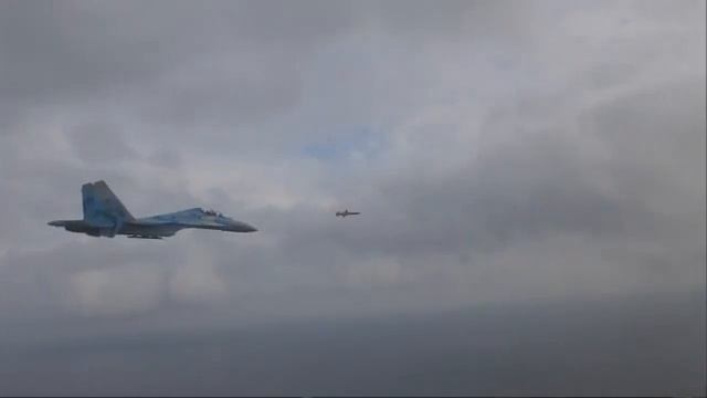 R-360 ‘Neptune’ cruise Missile Trials Flight смотреть онлайн