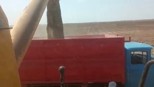 Выгрузка зерна комбайн Нью холланд Алексей Лопанцев за рулем смотреть онлайн