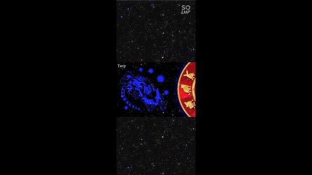 ЧТО ГОД ЮПИТЕРА ГРЯДУЩИЙ НАМ ПРИНОСИТ ? #АСТРОПРОГНОЗ2022 #АСТРОЛОГИЯ #НОВЫЙГОД2022 #ГОДТИГРА смотреть онлайн