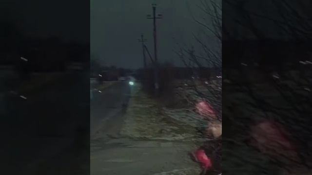 Mnogoznaal без обид смотреть онлайн