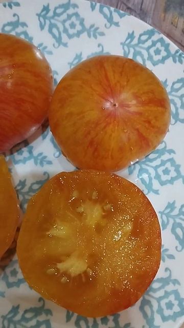 Томат План 9 из открытого космоса