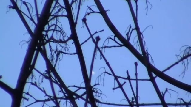 Фильм 2 UFO, UFOs, НЛО 2009 - 2012 смотреть онлайн