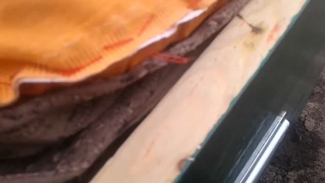 Сироп пчелы берут хорошо за 2 часа паловина пакета взяли очень хорошый резултать друзя смотреть онлайн