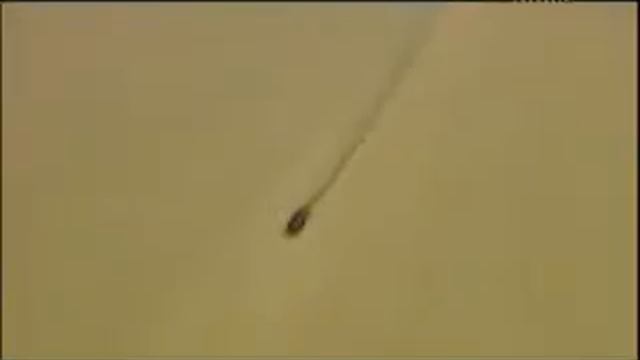 планета земля смотреть онлайн