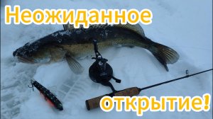 Возможно этого вы не знали. Настоящие "пастухи".