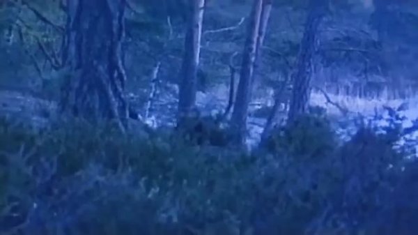 ИСТОРИЯ ГРУППЫ BATHORY ! / BLACK METAL / VIKING METAL / HEAVY  METAL / BUGURT