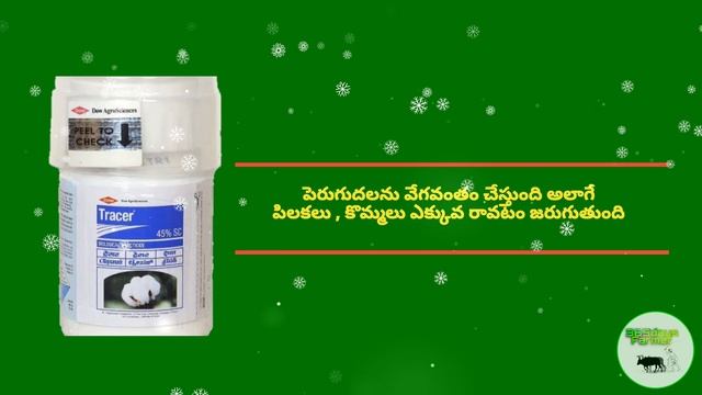 మిర్చి పంటలో ట్రేసర్ వల్ల ఇంత ఉపయోగమా | TRACER గురించి పూర్తి వివరాలు | смотреть онлайн