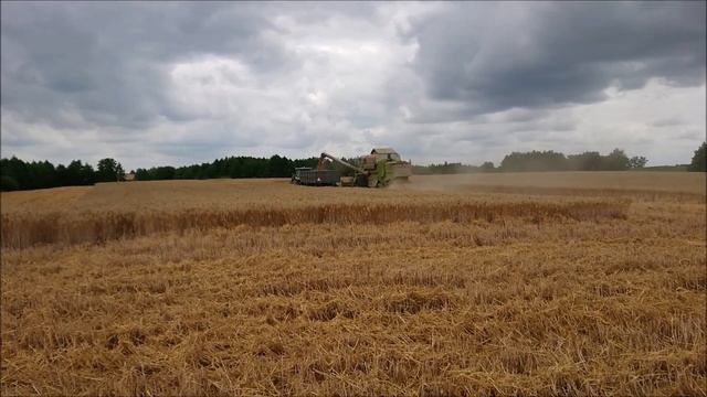 Żniwa - Claas Mega 204, John Deere 5720, Pronar, Zetor 5245 смотреть онлайн