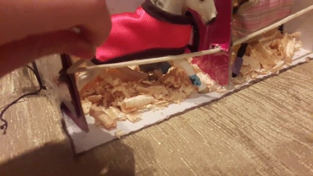 Обзор на мой кск+новая лошадка)))) смотреть онлайн